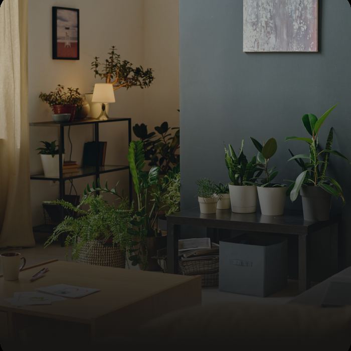 Shelves of artificial plants in terracotta pots
