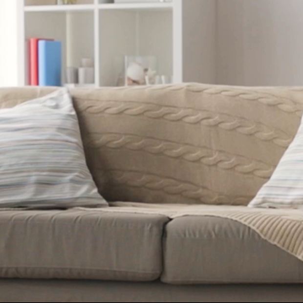 Neutral daybed styled against a soft wall